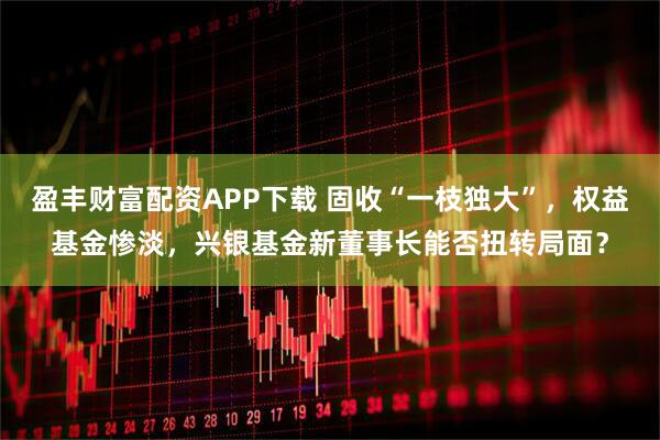盈丰财富配资APP下载 固收“一枝独大”,权益基金惨淡,兴银基金新董事长能否扭转局面?