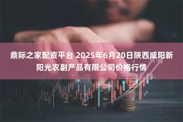鼎际之家配资平台 2025年6月20日陕西咸阳新阳光农副产品有限公司价格行情